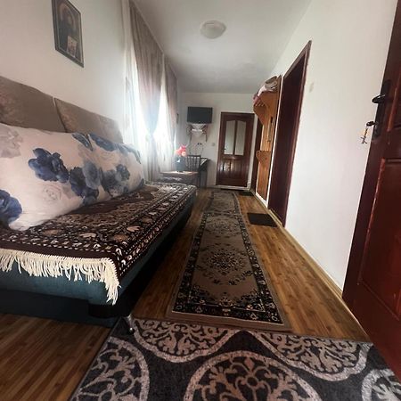 Vila Casa Ghetari Exteriér fotografie