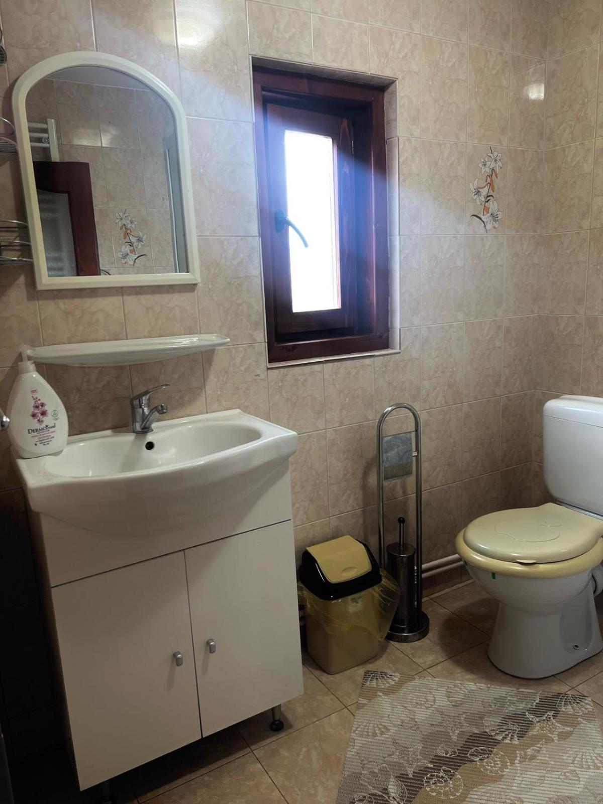 Vila Casa Ghetari Exteriér fotografie