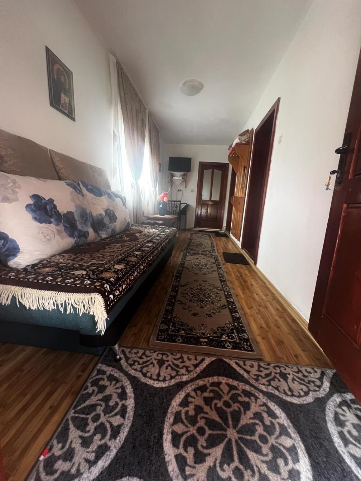 Vila Casa Ghetari Exteriér fotografie